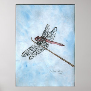 Poster Dragon Fly