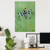 Poster Dragon fly perched on grass (Bureau à domicile)