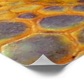 Poster Dragon Guardian (Coin)