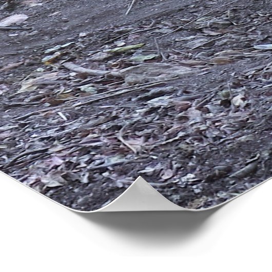 Poster Dragon Love (Coin)