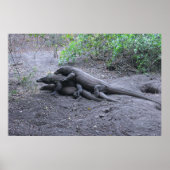 Poster Dragon Love (Devant)