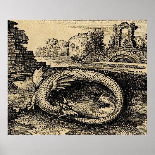 Poster Dragon rustique Ouroboros (Devant)