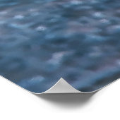 Poster Dragonet mince (Coin)