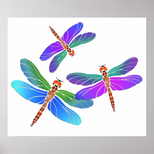 Poster Dragonflies de plongée Iridescente (Devant)