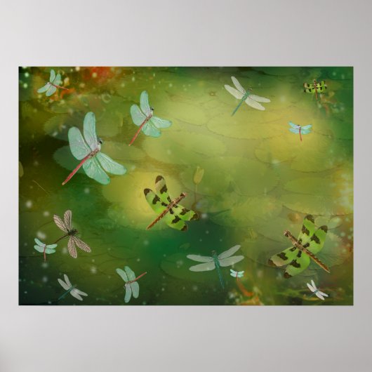 Poster Dragonflies et Water Lillies (Devant)