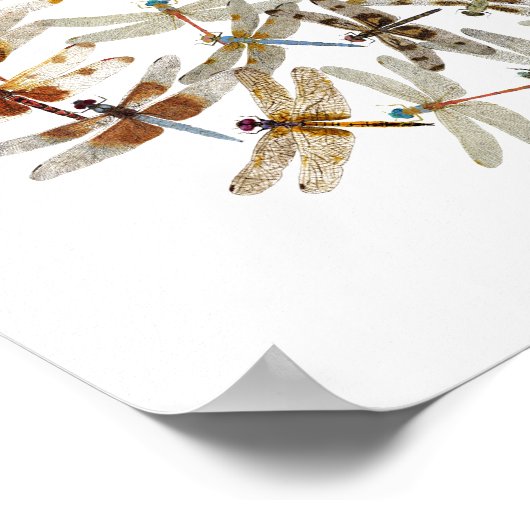 Poster Dragonflies synchronisées (Coin)