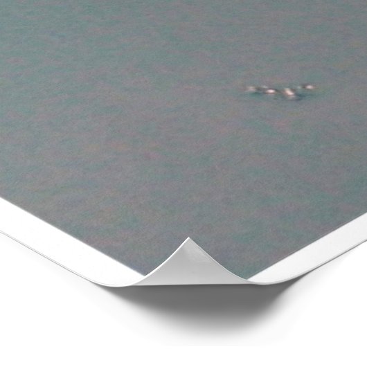 Poster Dragonfly (Coin)