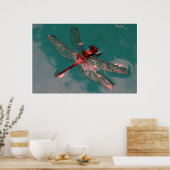 Poster Dragonfly (Cuisine)