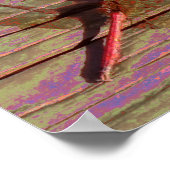 Poster Dragonfly (Coin)