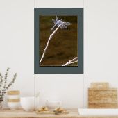 Poster Dragonfly (Cuisine)