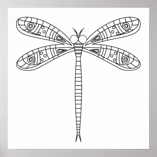 Poster Dragonfly 1 en couleur (Devant)