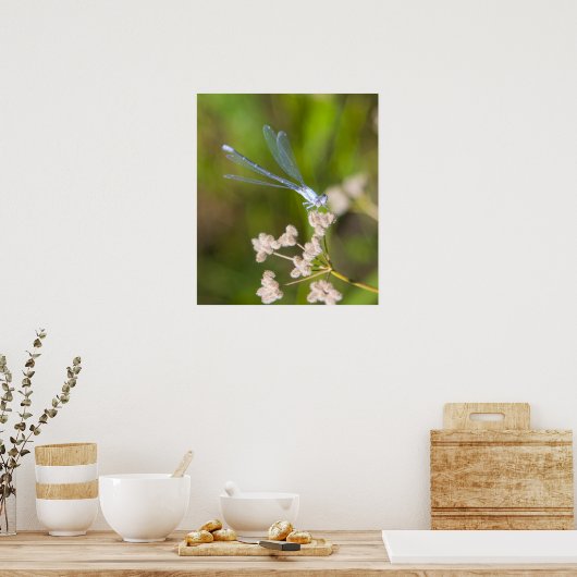 Poster Dragonfly #2 (Cuisine)