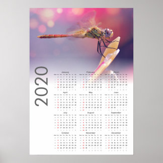 Poster Dragonfly Agenda 2020