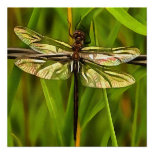 Poster Dragonfly Artistique En Brown Et Jaune Sur Vert