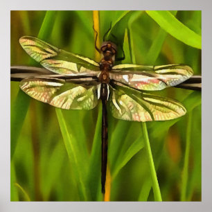 Poster Dragonfly Artistique En Brown Et Jaune Sur Vert