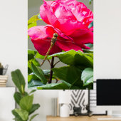 Poster Dragonfly assise sur la fleur de rose rouge (Bureau à domicile)