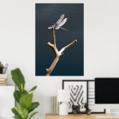 Poster Dragonfly au repos (Bureau à domicile)