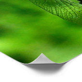 Poster Dragonfly Close Nature (Coin)