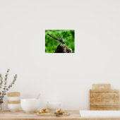 Poster Dragonfly Close Nature (Cuisine)