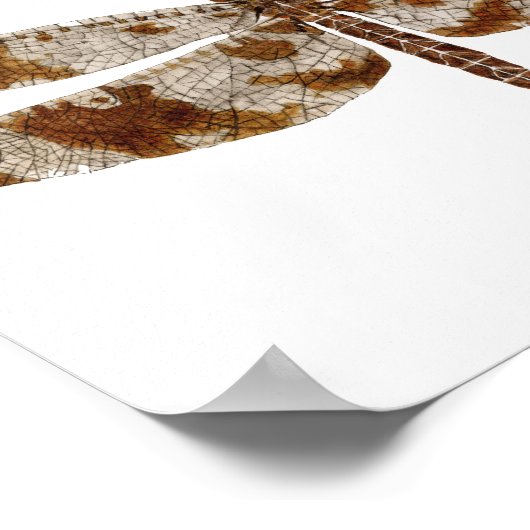 Poster Dragonfly de Skimmer (Coin)