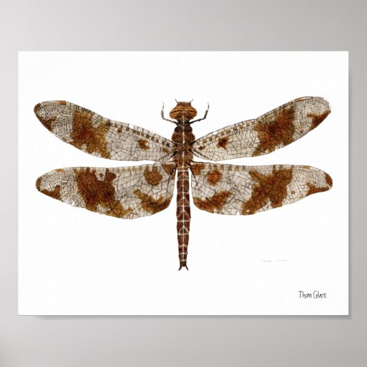 Poster Dragonfly de Skimmer (Devant)