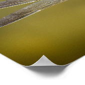 Poster Dragonfly en repos (Coin)