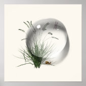 Poster Dragonfly Escargot Goutte d'Eau Abstrait (Devant)