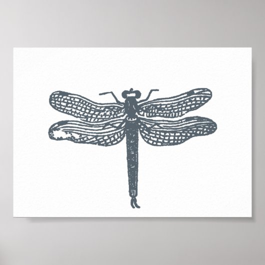 Poster Dragonfly Greys Print (Devant)
