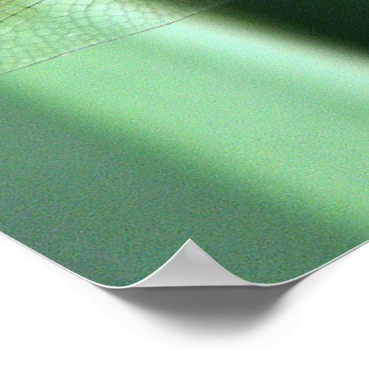 Poster Dragonfly Hello (Coin)