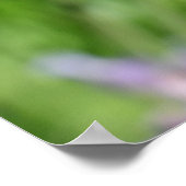 Poster Dragonfly in Lavender Garden (Coin)