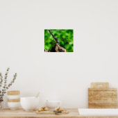 Poster Dragonfly On Tree Stump Close (Cuisine)