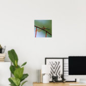 Poster Dragonfly On Wire Fence Close (Bureau à domicile)