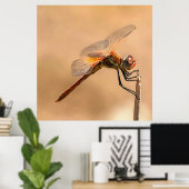 Poster Dragonfly peinte isolée contre Ecru (Bureau à domicile)