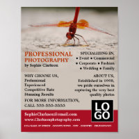 Dragonfly rouge, photographie, location de photogr