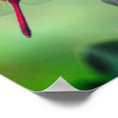 Poster Dragonfly rouge sur Dogwood Fruit Mirror Abstrait (Coin)