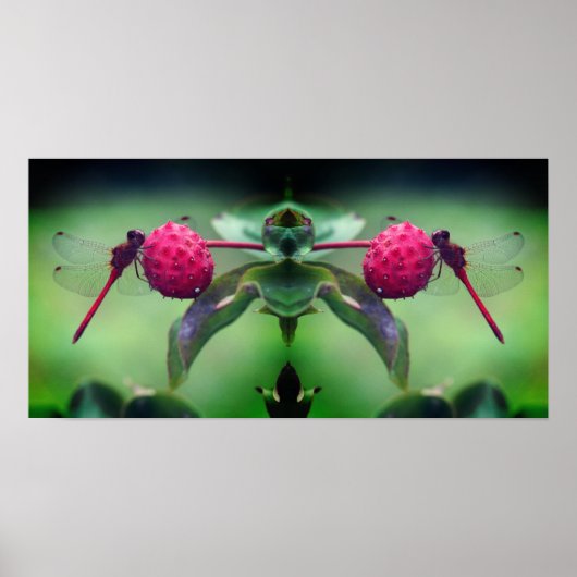 Poster Dragonfly rouge sur Dogwood Fruit Mirror Abstrait (Devant)