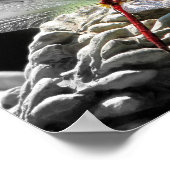 Poster Dragonfly rouge (Sympetrum vicinum) (Coin)