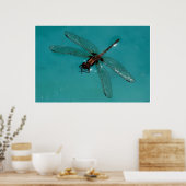 Poster Dragonfly Still Life 2 (Cuisine)