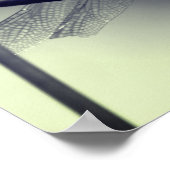 Poster Dragonfly sur la clôture en noir et blanc (Coin)