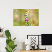 Poster Dragonfly sur la fleur (Bureau à domicile)