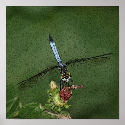 Poster Dragonfly sur l'impression d'images de fleurs (Devant)