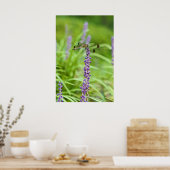 Poster Dragonfly sur une fleur (Cuisine)