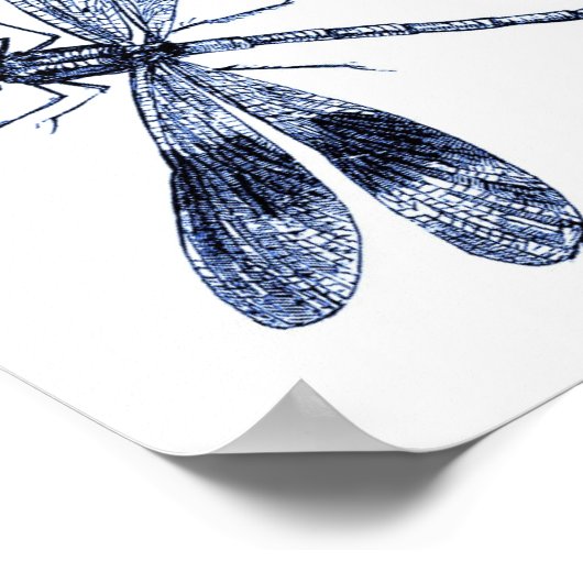 Poster Dragonfly vintage - Bleu (Coin)