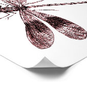 Poster Dragonfly vintage - Rouge (Coin)