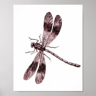 Poster Dragonfly vintage - Rouge