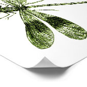 Poster Dragonfly vintage - Vert clair (Coin)