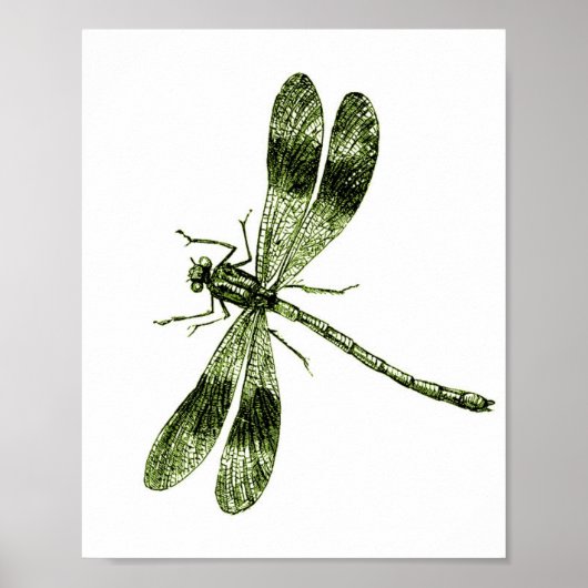 Poster Dragonfly vintage - Vert clair (Devant)