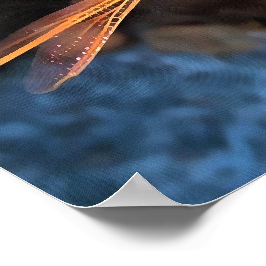 Poster Dragonfly With Sunlight Gilded Wings (Coin)