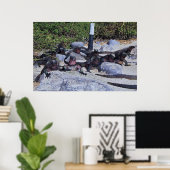 Poster Dragons (Bureau à domicile)