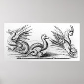 Poster Dragons (Devant)